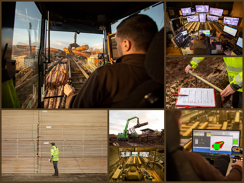 Bearbeitet_HOLTS-068-Bilder-fuer-Ausbildungsportal_Collage_20x146cm_v02