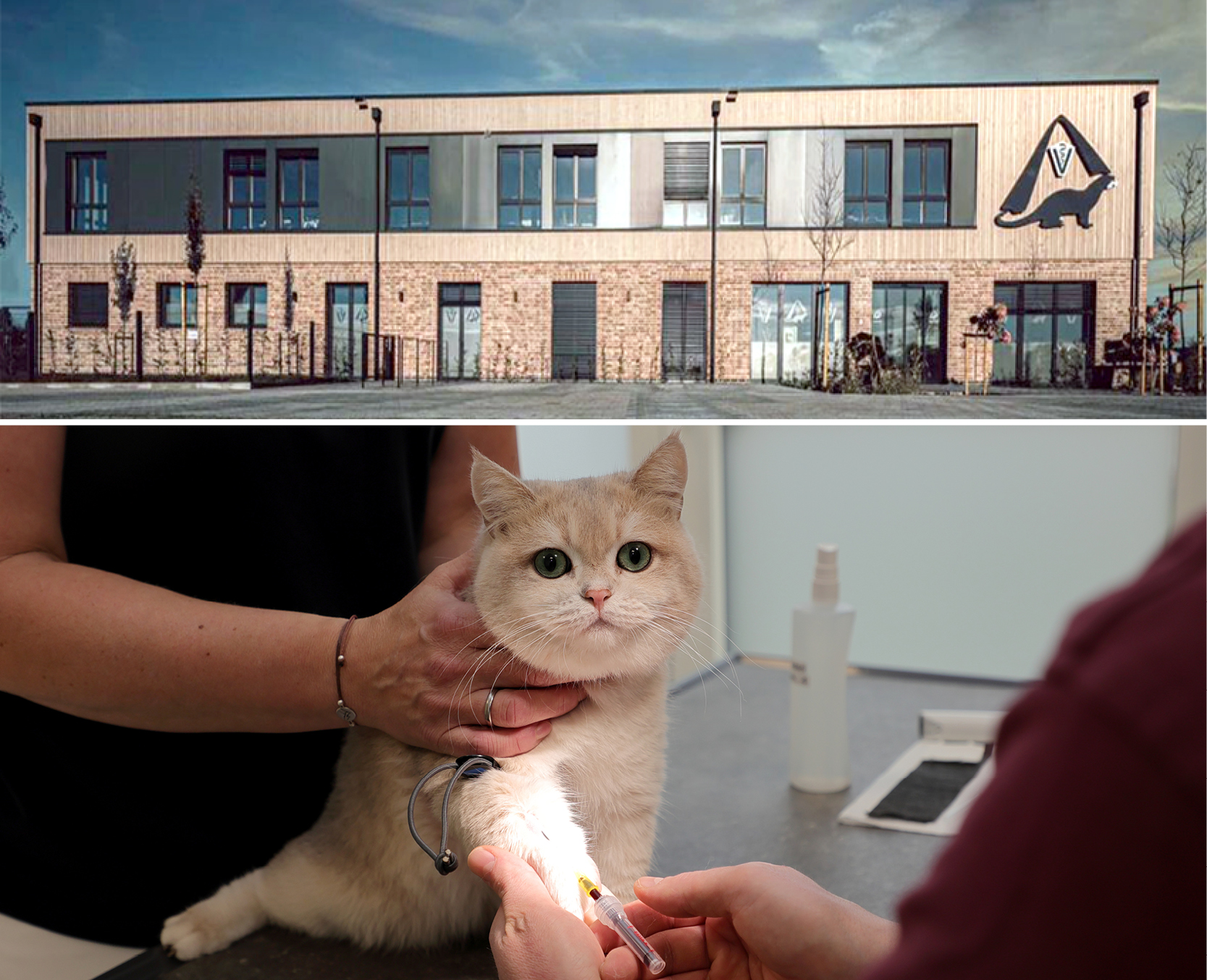 Tieraerztliche-Praxis-Ottersberg-Jobbild